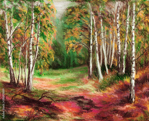 Obraz w ramie Picture, autumn forest
