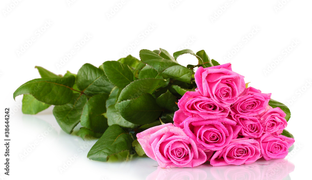 Many pink roses isolated on white