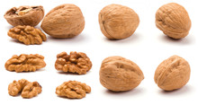 Various Walnuts
