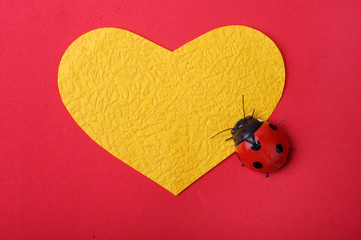 Wall Mural - heart with ladybug