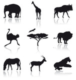 African animals set