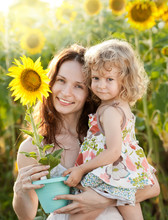 Woman And Child With Sunflower