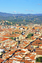 Wall Mural - Florence houses aerial view