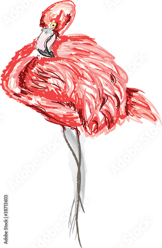 Obraz w ramie Flamingo