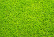 Fussball Rasen - Soccer Grass