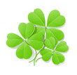 clover four leaf for saint patrick's day vector illustration