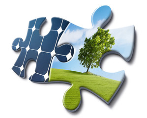 nature loves solar energy