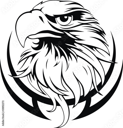 Nowoczesny obraz na płótnie Eagle