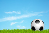 Fototapeta Sport - soccer ball on green grass