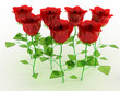 The red glass roses are not white №1