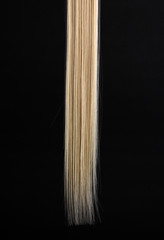 Wall Mural - Shiny blond hair isolated on black