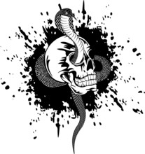 Vector Illustration Skull And Snake