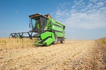 Poster - harvesting soybeans