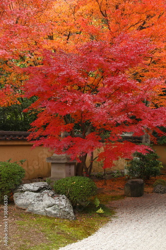 Tapeta ścienna Japonia jesienią