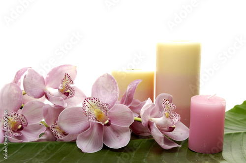 Tapeta ścienna Różowa orchidea i kolorowa świeczka na liściu bananowca