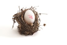 Small Bird Nest With XL Egg Isolated On White Background