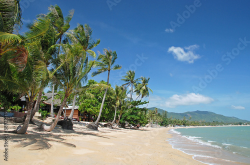 Plakat na papierze fotorealistycznym Tropikalna plaża na wyspie Koh Samui, Tajlandia