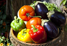 A Group Of Colourful Vegetable