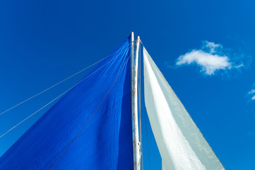 Wall Mural - white and blue sails