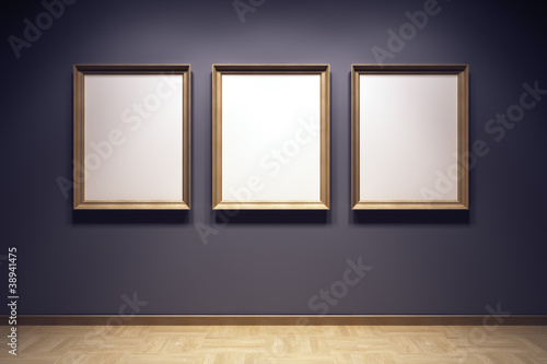 Cuadros en Lienzo blank frames in the gallery