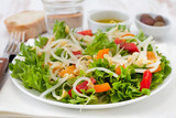 Fototapeta  - salad with bean sprouts