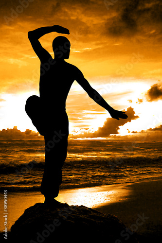 Fotografia Martial Artist Silhouette with Orange Sunset