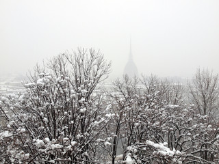 Wall Mural - Turin view