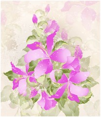 Wall Mural - Greeting card with hibiscus. Illustration hibiscus.