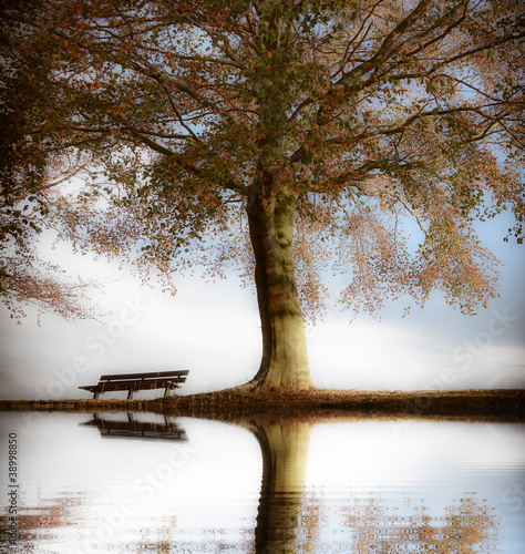 stara-drewniana-lawka-nad-tafla-wody-w-parku-jesienna-pora-roku-ilustracja