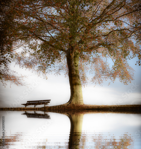 Fototapeta do kuchni Old wooden bench in autumn park