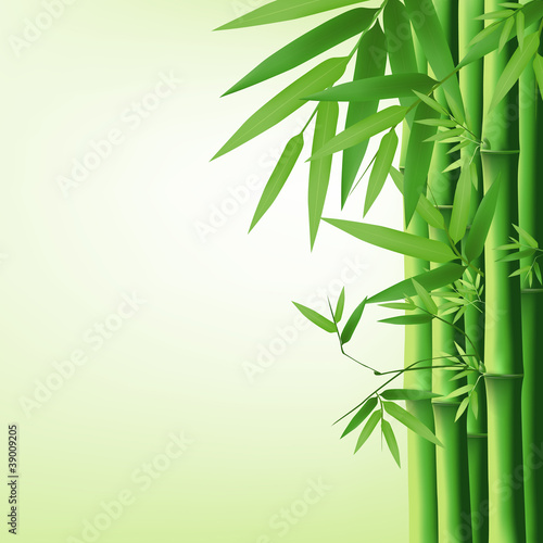 Nowoczesny obraz na płótnie Bamboo vector illustration