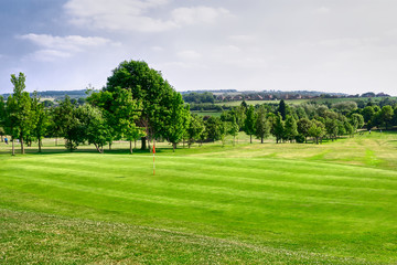 Wall Mural - Golf course