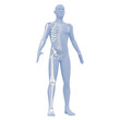 canvas print picture - Silhouette des Mannes mit Skelett