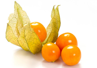 Physalis on white background