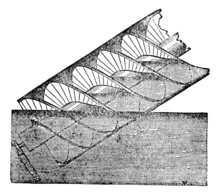 Archimedes Screw Or Archimedean Screw, Vintage Engraving.
