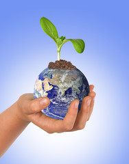 Wall Mural - Girl's hand with plate Earth