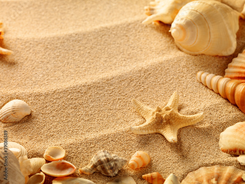 Board z aluminiowym obramowaniem Muszelki z piaskiem jako tło