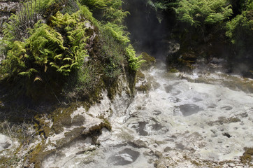 Wall Mural - Craters of the Moon, Lake Taupo, New Zealand