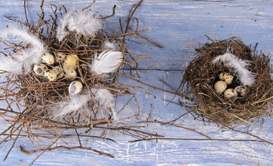 Easter: 2 bird nests with quail eggs and feathers