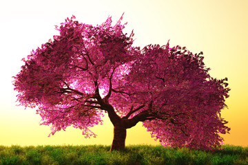 Plakat drzewa kwiat łąka natura