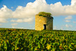 Old ruined stone medieval tower in vineyard, Medoc, France