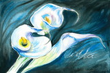 White calla-watercolors