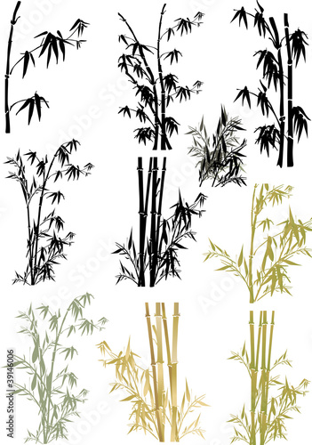 Naklejka dekoracyjna isolated bamboo collection