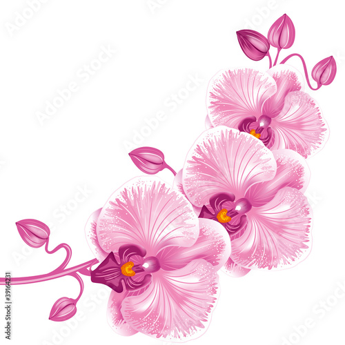 Naklejka - mata magnetyczna na lodówkę Purple orchid