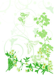 Wall Mural - vertical green sakura flowers illustration