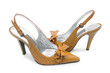 © Elnur - Woman shoes isolated on the white background