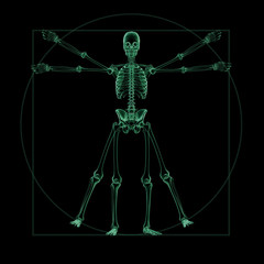 Wall Mural - X-ray skeletal structure of a Vitruvian Man