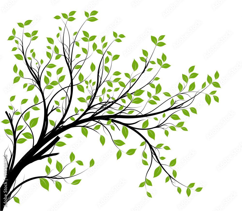 vector set - green decorative branch and leaves - obrazy, fototapety, plakaty 