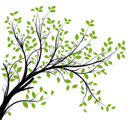 vector set - green decorative branch and leaves