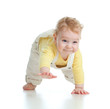 © Andrey Kuzmin - adorable boy crawls on all fours studio shot